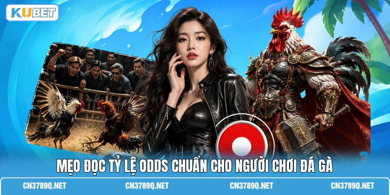 Mẹo đọc tỷ lệ Odds chuẩn cho người chơi đá gà